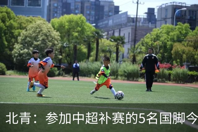 北青：参加中超补赛的5名国脚今晚到队，国足参训人数达到22人